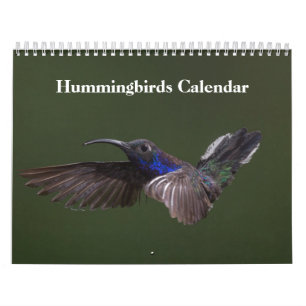 Kolibris 2027 kalender