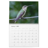 Kolibris 2027 kalender (Jan 2027)