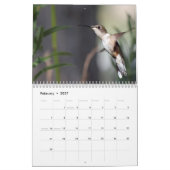 Kolibris 2027 kalender (Feb 2027)