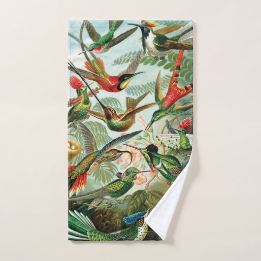 Kolibris durch Ernst Haeckel Handtuch (Handtuch)