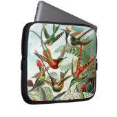 Kolibris durch Ernst Haeckel Laptopschutzhülle (Vorne Rechts)