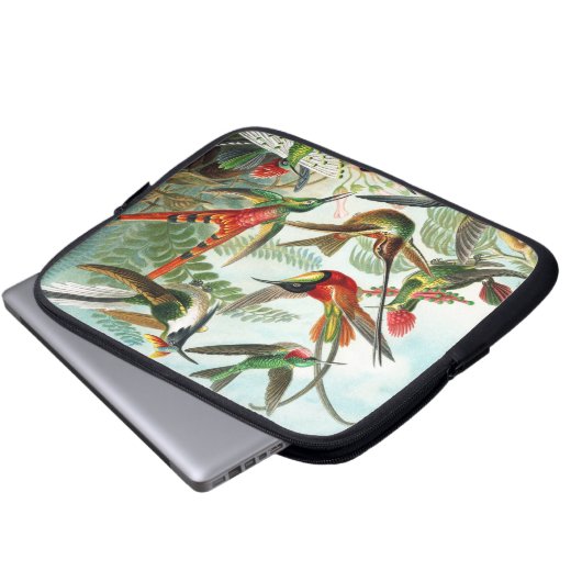 Kolibris durch Ernst Haeckel Laptopschutzhülle (Vorne Knopf)