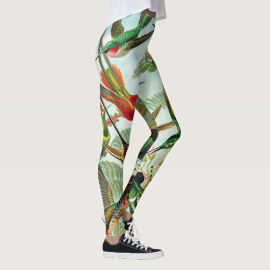 Kolibris durch Ernst Haeckel Leggings (Rechts)
