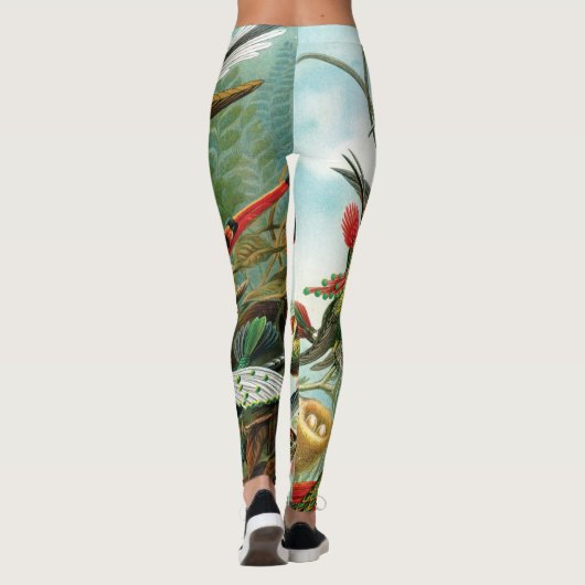 Kolibris durch Ernst Haeckel Leggings (Rückseite)