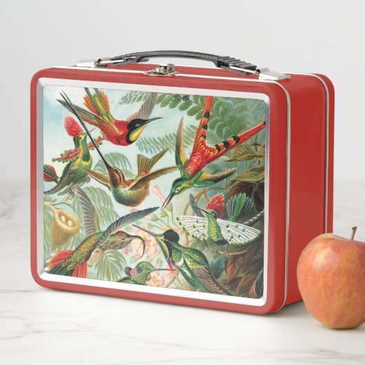 Kolibris durch Ernst Haeckel Metall Brotdose (Beispiel)