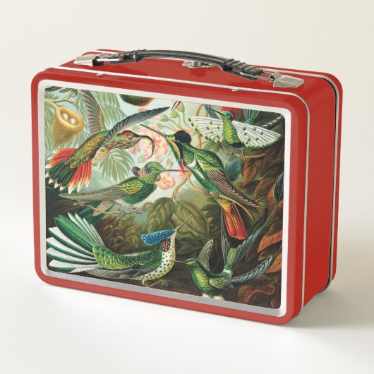 Kolibris durch Ernst Haeckel Metall Brotdose (Rückseite)