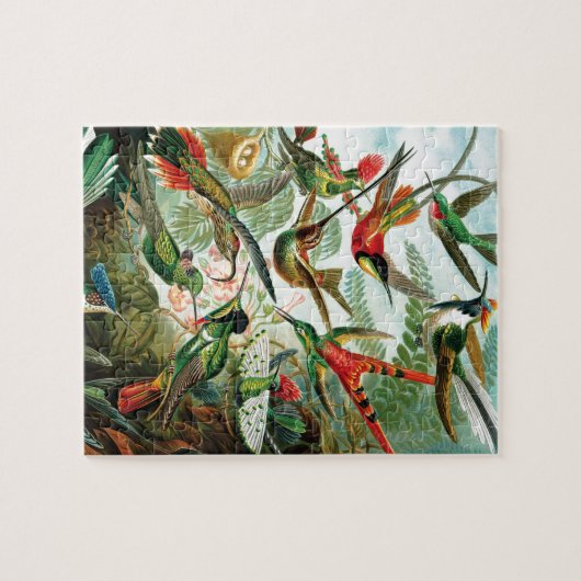 Kolibris durch Ernst Haeckel Puzzle (Horizontal)