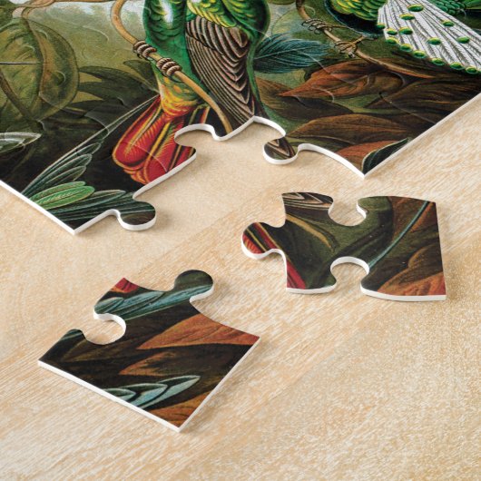 Kolibris durch Ernst Haeckel Puzzle (Seite)
