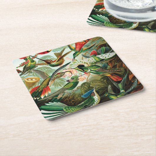 Kolibris durch Ernst Haeckel Rechteckiger Pappuntersetzer (angewinkelt)