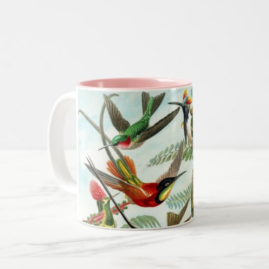 Kolibris durch Ernst Haeckel Zweifarbige Tasse (Vorderseite Links)