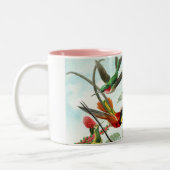 Kolibris durch Ernst Haeckel Zweifarbige Tasse (Links)