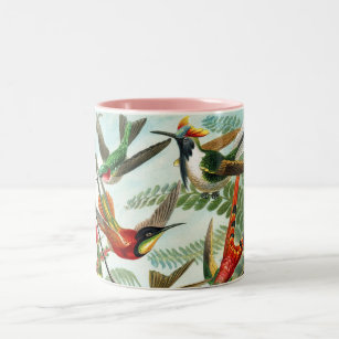 Kolibris durch Ernst Haeckel Zweifarbige Tasse