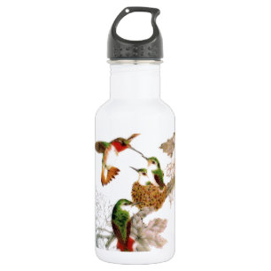 Kolibris Edelstahlflasche