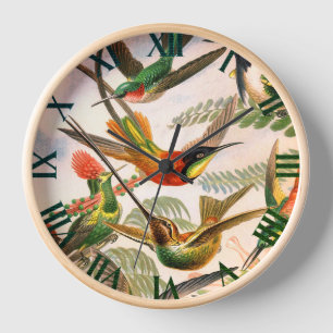 Kolibris - Ernst Haeckel Uhr
