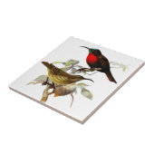Kolibris Fliese (Seite)