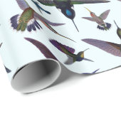Kolibris Geschenkpapier (Rolleneckpunkt)