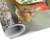 Kolibris Geschenkpapier (Rolleneckpunkt)