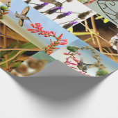 Kolibris Geschenkpapier (Ecke)