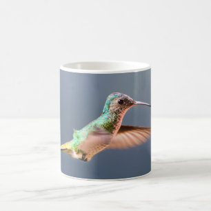 Kolibris Goldschwanzsaphir Weiblich Fliegend Kaffeetasse