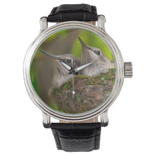 Kolibris im Babyalter Armbanduhr