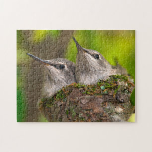 Kolibris im Babyalter Puzzle