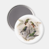 Kolibris im Flug Magnet (Vorderseite/Rückseite)