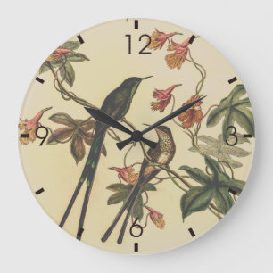 Kolibris im Vintage-Stil von John Gould Große Wanduhr