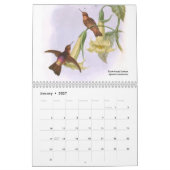 Kolibris Johns Goulds Kalender (Jan 2027)