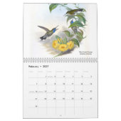 Kolibris Johns Goulds Kalender (Feb 2027)
