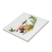 Kolibris Johns Goulds mit rosa Orchideen Fliese (Seite)