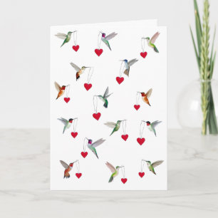 Kolibris Karte