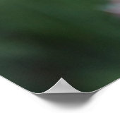 Kolibris mit Belladonna Poster (Ecke)