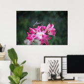 Kolibris mit Belladonna Poster (Heimbüro)