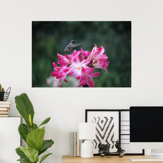 Kolibris mit Belladonna Poster (Heimbüro)