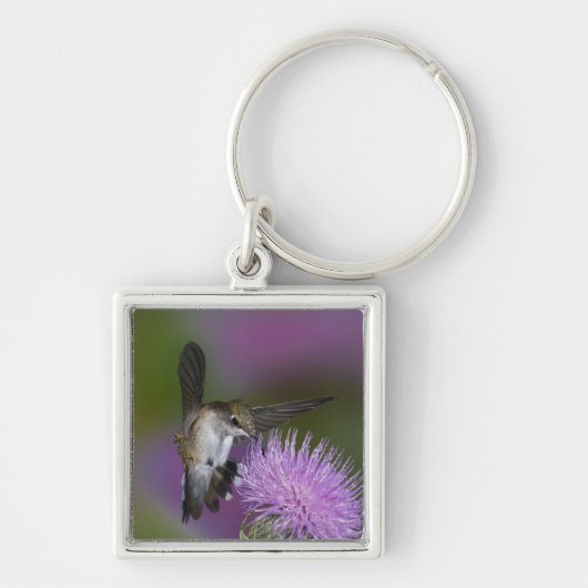 Kolibris mit Ruby-Kehle im Flug am Dickicht Schlüsselanhänger (Vorne)