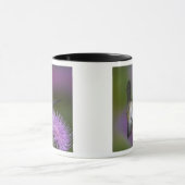 Kolibris mit Ruby-Kehle im Flug am Dickicht Tasse (Zentrum)