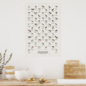 Kolibris - Naturalist's Library Poster (Küche)