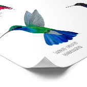 Kolibris Poster (Ecke)