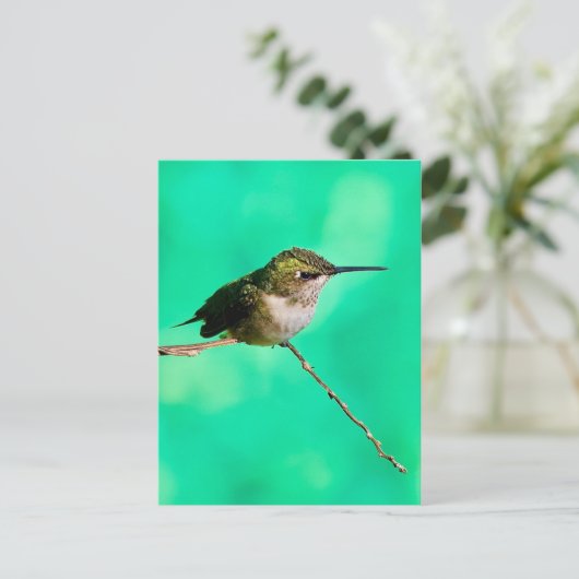Kolibris Postkarte (Stehend Vorderseite)