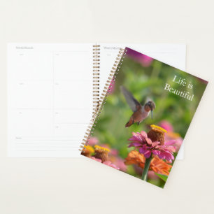 Kolibris Rosa Zinnienblumen (Foto von mir) Planer