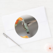 Kolibris Runder Aufkleber (Umschlag)