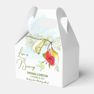 Kolibris-Teeparty-Liebe ist am Brodeln Geschenkschachtel