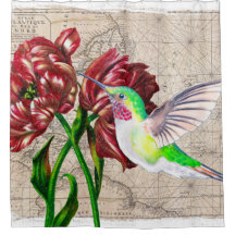 Kolibris Tulpen Karte
