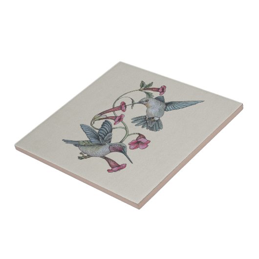 Kolibris u. Rebe Fliese (Seite)