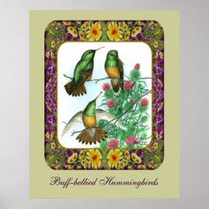 Kolibris und Blumen #1 Poster