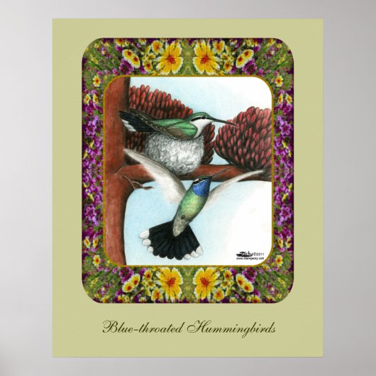 Kolibris und Blumen #3 Poster (Vorne)