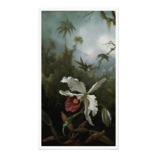 Kolibris und weiße Orchidee von Martin J. Heade Fotodruck