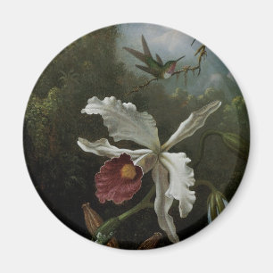 Kolibris und Weiße Orchidee von Martin J. Heade Magnet