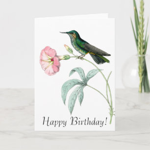 Kolibris Vögel Blumen Floral Tiere Wildnis Karte