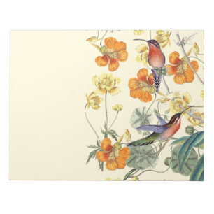 Kolibris Vögel Blumen Floral Wildtiere Notizblock